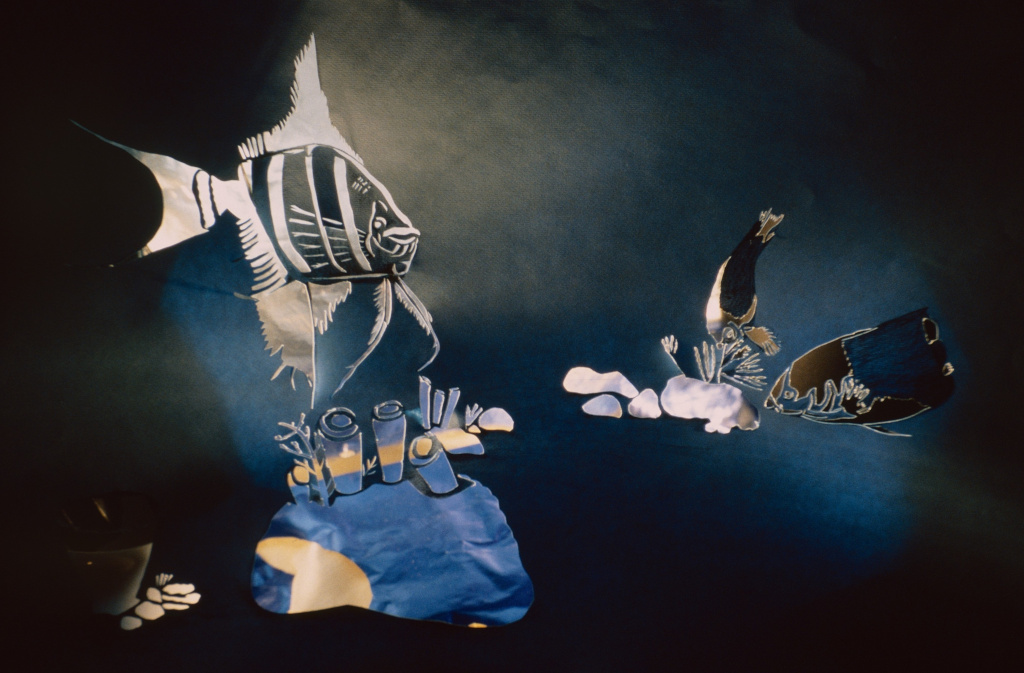  Fresh &  Open Waters <br> Part 2. Night Scene