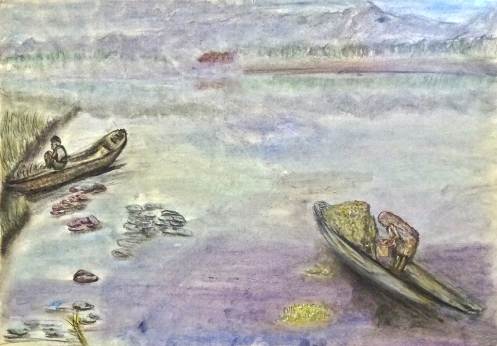 Floating Gardens in Dal Lake 