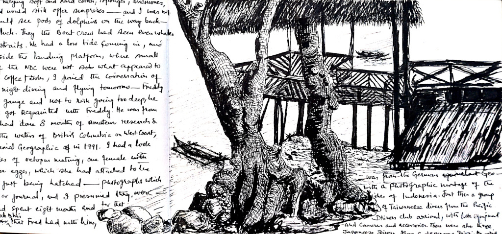 Tree House amidst Mangrove Forest