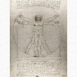 Vitruvian Man